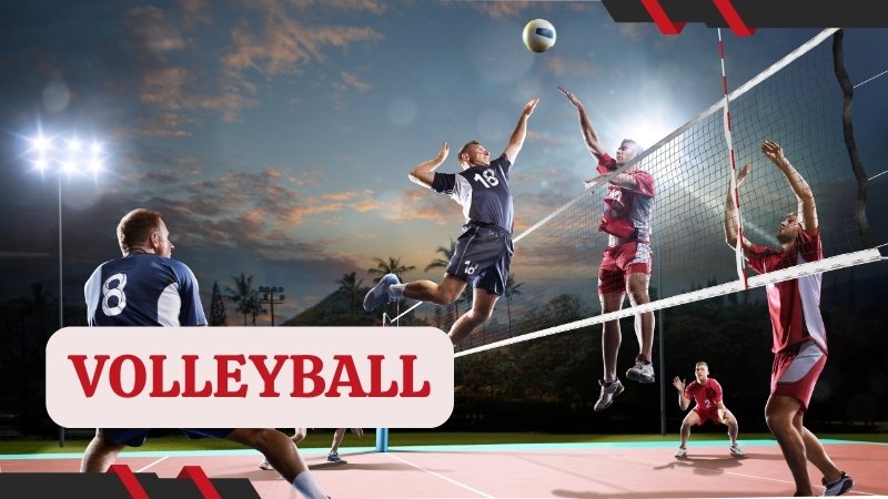 Some basic information about Volleyball