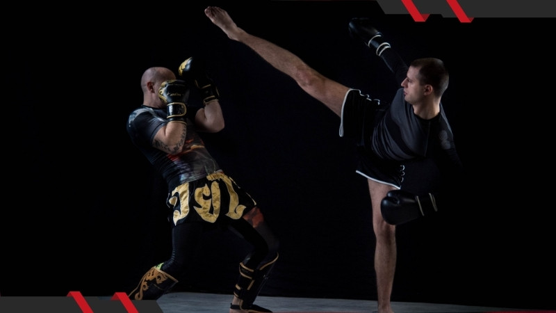 What is Mixed Martial Arts Betting?